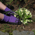 handschuhe wondergripviola violett gr.6