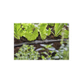 GARDENA Micro-Drip-System Verbinder 13 mm (1/2")