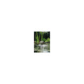 pondovario 1500springbrunnenpumpe set