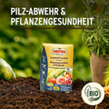 Substral Naturen Bio Grundstoff Lecithin Konzentrat unterstützt Pflanzengesundheit, Pilzabwehr + Befallsminderung, 50ml