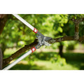 Weitere Bilder