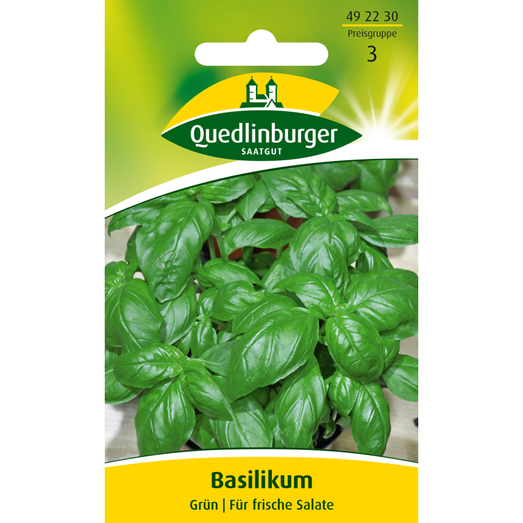 basilikum grün